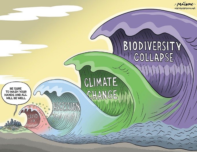 Eine Karikatur, die die Bedrohung durch den Verlust der Biodiversität als Flutwelle darstellt