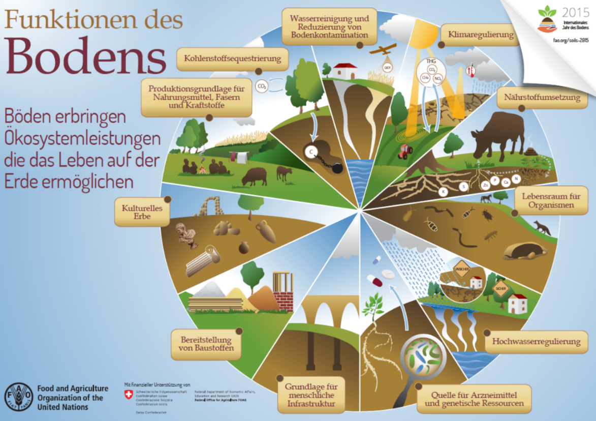 Funktionen des Bodens (© FAO)