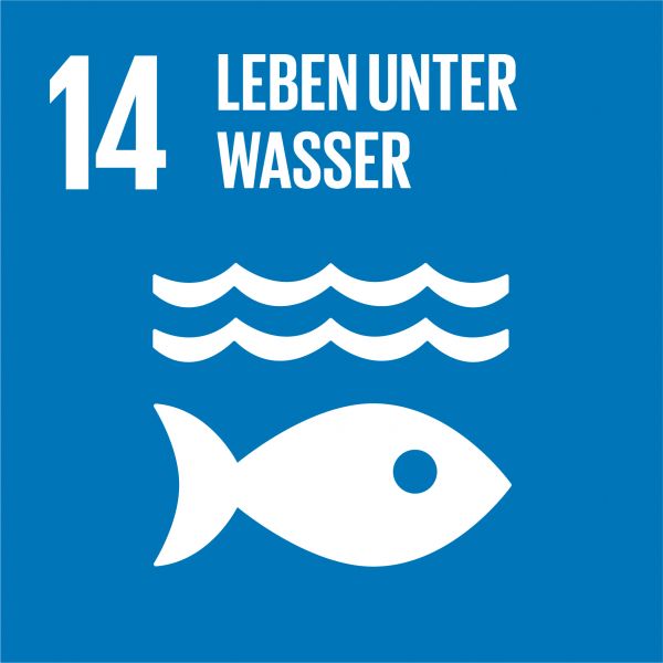 Icongrafik für das Nachhaltigskeitsziel Nummer 14 - Leben unter Wasser