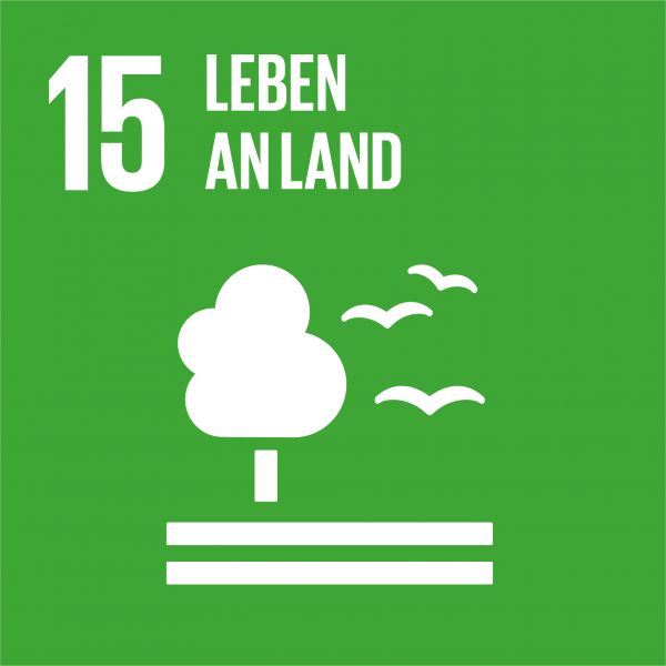 Icongrafik für das Nachhaltigskeitsziel Nummer 15 - Leben an Land